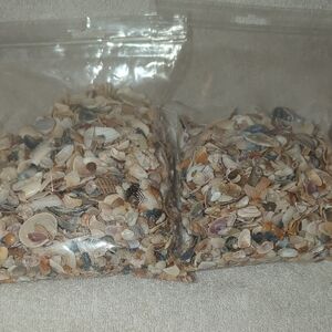 Real Beach Mixed  Crushed Seashell -2lbs.